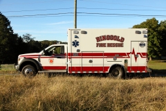 Ringgold-543