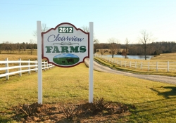 Clearview148.JPG