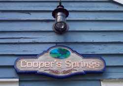 Coopers Springs151.JPG